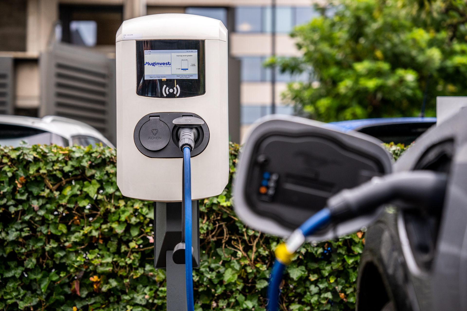 PluggedIn cases Pluginvest