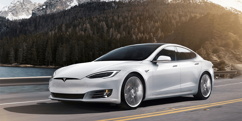 ZuidAmerika Bomen planten wapen Tesla Model S | Elektrische auto thuis opladen | Pluginvest